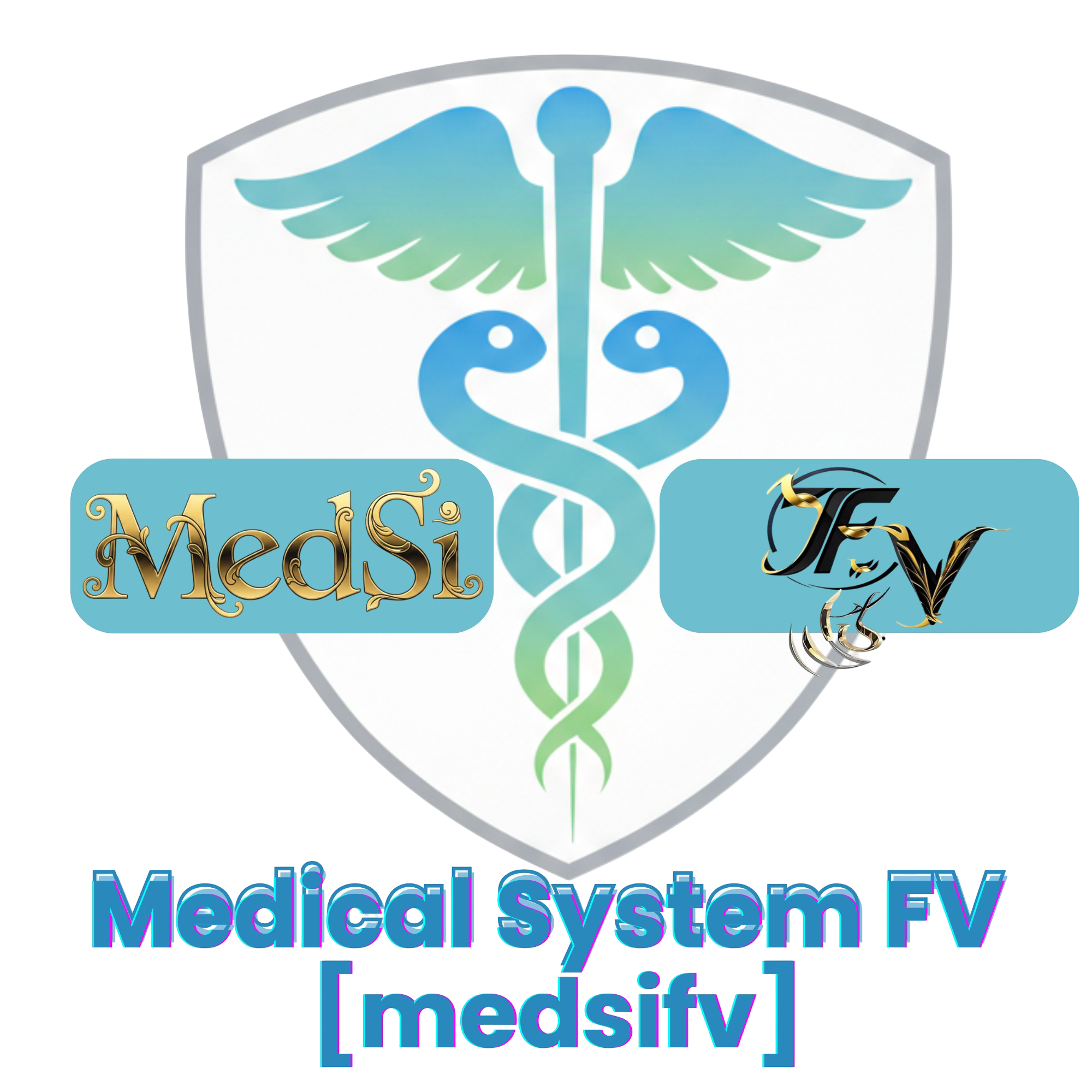 MedsiFV Medical Systems